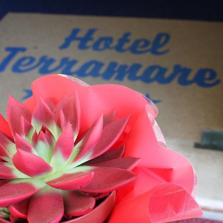 Hotel Terramare Lido di Jesolo Kültér fotó